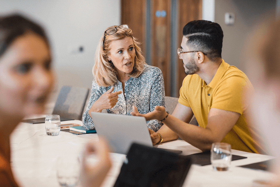 Resource Optimisation for Complex Projects 