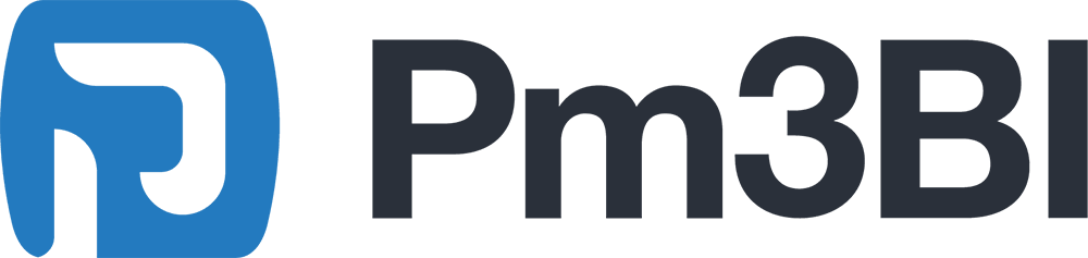 Unlock the Power of PM3BI